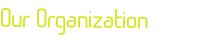 Our Organization